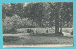 * Orroir (Kluisbergen - Mont De L'Enclus - Hainaut) * (Paul Sturbaut - Colle) Pris De La Maison Du Garde Bois, Vache - Kluisbergen