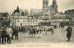 Chartres * Le Marché Aux Vaches * Place Du Châtelet * Foire Aux Bestiaux Marchands - Chartres