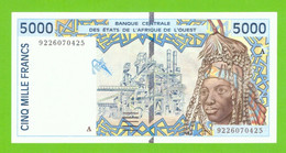 IVORY COAST W.A.S. 5000 FRANCS 1992  P-113Aa UNC - Westafrikanischer Staaten