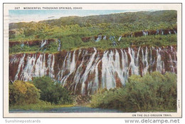 Wonderful Thousand Springs Idaho 1936 - Autres & Non Classés