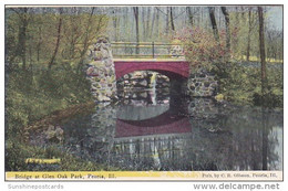 Bridge At Glen Oak Park Peoria Illinois 1908 - Peoria