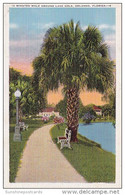 Florida Orlando 15 Minutes Walk Around Lake Eola 1937 - Orlando