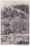 Deer Leap From Long Trail Lodge Of The Green Mountain Club Rutland Vermont Albertype - Rutland