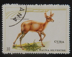 CUBA YT 1441 OBLITERE  ANNÉE 1970 - Used Stamps