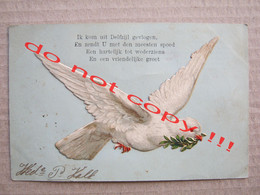 White Dove With Twig / Netherlands - Delfzijl Gevlogen ... ( 1905 ) Ges. Gesch - Delfzijl