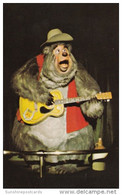 Big Al Country Bear Jamboree Walt Disney World Orlando Florida - Disneyworld