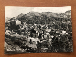 RIOFREDDO ( ROMA ) PANORAMA 1964 - Transportes