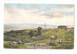 View From The Top Of Clent Hills Art Drawn Postcard Unused From The Oil Painting By E Blocksidge - Blocksidge Series - Autres & Non Classés