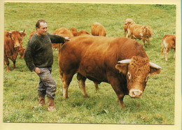 Jean-Claude CERAY Et Son Taureau Limousin / Lascaux (19) (Pierre BATILLOT) MUTH 94/01 - 300 Exemplaires (voir Scan Recto - Campesinos