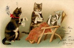 Chats Humanisés * CPA Illustrateur 1905 * Le Médecin Et Le Malade * Chat Cat Katze - Gatos