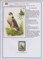 Max Kaart + Zegels 4031 Boomvalk - 1985-.. Birds (Buzin)