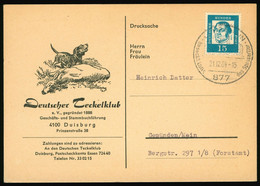 Reklame Karte 1964 Heimatbeleg Duisburg, Deutscher Teckelklub Duisburg, Prinzenstraße Mitgliedskarte Für 1964 - Storia Postale