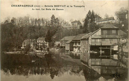 Champagnole * La Scierie BOUVET Et La Tannerie * Usine Industrie * Métier Bois * Le Bois De Gazon - Champagnole