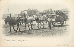 MARSEILLE - Attelage Provençal. - Old Professions