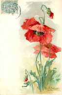 Catharina KLEIN * CPA Illustrateur Gauffrée Embossed * Fleurs Rouges * Fleur * 1906 - Klein, Catharina