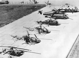 AVIATION GRANDE PHOTOGRAPHIE DE PUSIEURS HELICOPTERES DANS UNE BASE AVEC SIGNATURES AU VERSO (dimensions 18cm X 13cm) - Hélicoptères