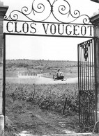 AVIATION GRANDE PHOTOGRAPHIE CLOS VOUGEOT HELICOPTERE DANS LE VIGNOBLE Signature Verso (dimensions 18cm X 13cm) - Elicotteri