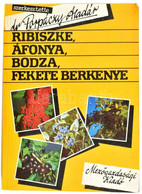 Ribiszke, áfonya, Bodza, Fekete Berkenye. Szerk.: Dr. Porpáczy Aladár. Bp., 1987, Mezőgazdasági Kiadó. Fekete-fehér Képe - Unclassified