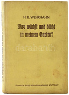 Wehrhahn, Heinz Rolf: Was Wächst Und Blüht In Meinem Garten? Blütenstauden Und Sommerblumen. Tabellen Zum Bestimmen Von  - Unclassified