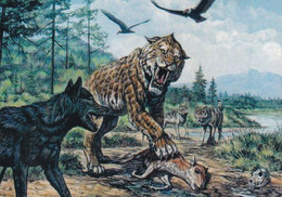 A15362 - PREHISTORY  POSTCARD UNUSED - Préhistoire