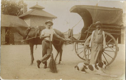 CARTE-PHOTO - Attelage à Cheval - Charrette, Carriole - Chien De Chasse - Balai - Attelages