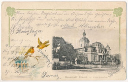 T2/T3 1899 (Vorläufer) Brassó, Kronstadt, Brasov; Villa Schuller. Szecessziós Litho Keret Madarakkal / Villa. Art Nouvea - Zonder Classificatie