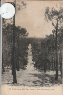 85 - Carte Postale Ancienne  De  SAINT JEAN DE MONTS  Une Route Dans La Forèt - Saint Jean De Monts