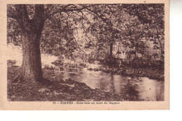 SIGNES  Soius Bois Au Bord Du Gapeau - Signes