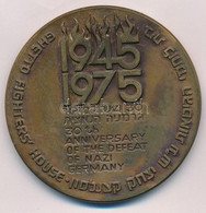 Izrael 1975 "A Szövetséges Seregek Zsidó Katonái Emlékére" Kétoldalas, Bronz Emlékérem, Peremen Jelzett és Sorszámozott  - Unclassified