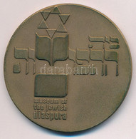 Izrael 1986. "A Zsidó Diaszpóra Múzeuma" Kétoldalas, Bronz Emlékérem, Peremen Jelzett és Sorszámozott "4136", Műanyag To - Unclassified