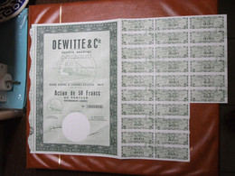 Actions - Dewitte & Cie à Lomme-lez-Lille (59) - Février 1964 - Action Au Porteur - D - F