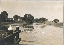 Naarden,   ( Origineel Fotootje  (geen Prentbriefkaart) (5,5 X 8 Cm) - Naarden