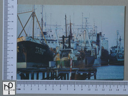 PORTUGAL - PORTO DE PESCA -  GAFANHA DA NAZARÉ -   2 SCANS  - (Nº46917) - Aveiro