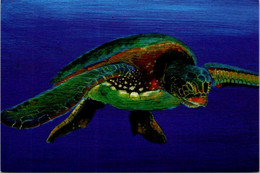 (1 F 18) Tortoise - Tortue D Mer - AVANT Card - Schildkröten