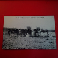 BOU DENIB RASSEMBLEMENT DE CHAMEAUX DEVANT LA REDOUTE CACHET CORREESPONDANCE MILITAIRE - Other & Unclassified