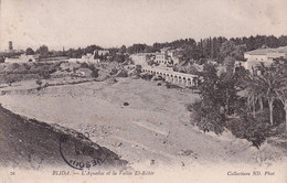 BLIDA L AQUEDUC ET LA VALLEE EL KEBIR - Blida