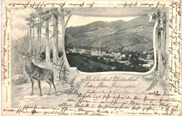 CPA-carte Postale Germany- Bühlerthal Unterthal  1903 VM43689ok+ - Buehlertal