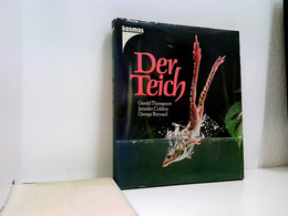 Der Teich - Animaux