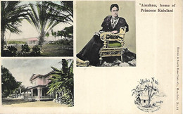 1900/1910 - AINAHAU  Oahiu Waikiki , Gute Zustand, 2 Scan - Zonder Classificatie