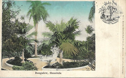 1900/1910 - Bungalov  HONOLULU , Gute Zustand, 2 Scan - Honolulu