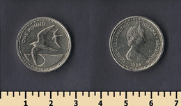 Saint Helena And Ascension 1 Pound 1984 - Saint Helena Island