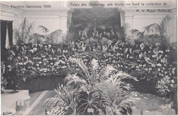 Floralies Gantoises 1908 - Palais Des Orchidées - Gent