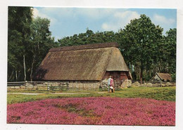 AK 028143 GERMANY - Wildeshausen - Pestruper Heide .- Schafkoben - Wildeshausen