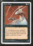 MAGIC The GATHERING  "Giant Slug"---CHRONICLES (MTG--138-1) - Autres & Non Classés