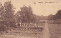 Diesterweg's Openluchtschool Te Heide - In Den Moestuin - Kalmthout