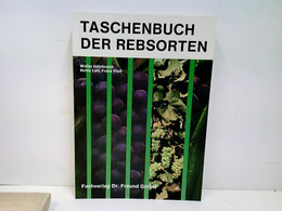 Taschenbuch Der Rebsorten. - Natuur