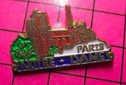 413c Pin's Pins / Beau Et Rare / THEME VILLES / PARIS CATHEDRALE NOTRE-DAME - Ciudades