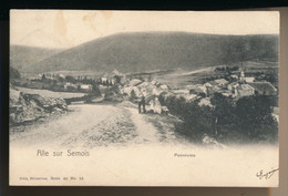 ALLE SUR SEMOIS  PANORAMA  1904   2 SCANS - Vresse-sur-Semois