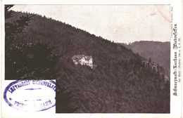 CPA-carte Postale Germany-  Bühlertal-Scharzwald Kurhaus Wiedenfelsen  Début 1900  VM43720+ - Bühlertal