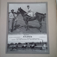 PHOTO SPORT HIPPISME THE EVERGET ATLANTA D.GARDNER 1953 - Sport